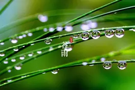 节气｜谷雨时节暮春尽，这些常识你应该知道图片