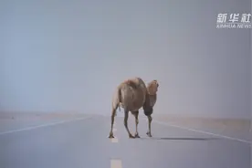 精彩！来看索尼世界摄影大赛作品展视频封面