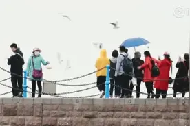 青岛进入海军时间：快闪点燃海军城！视频封面