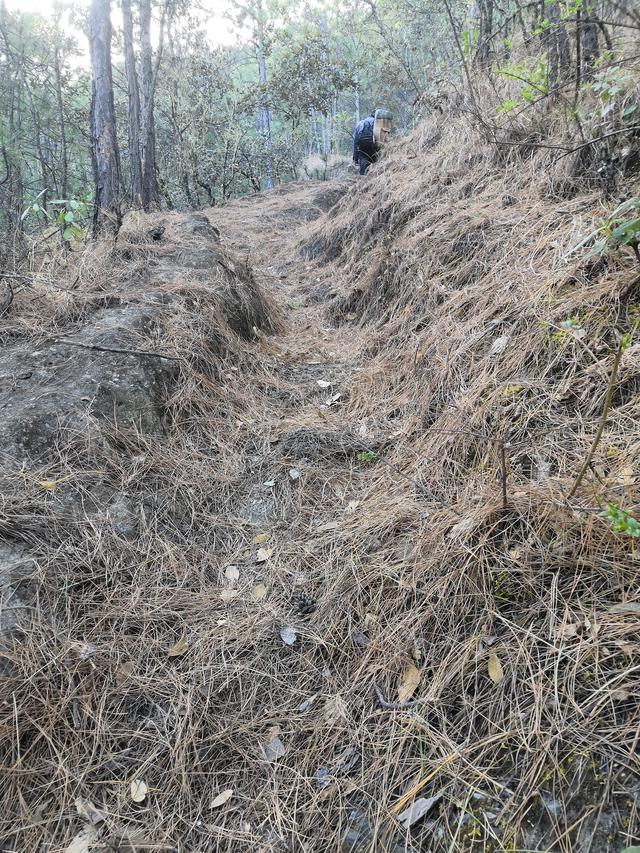 凉山“330大火”背后：世代打火的雅砻江人