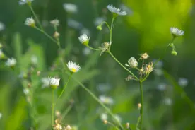 荐读 | 人生的最高境界，就这两个字图片