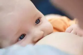 宝宝的第一口食物吃什么好图片