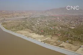 黄河旁古梨园赏花正当时视频封面