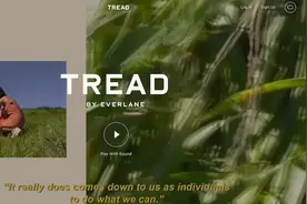 美国Everlane推出运动鞋，还是走环保路线图片