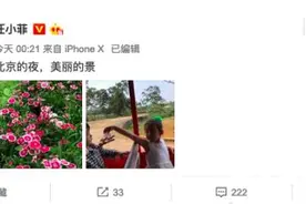 汪小菲带儿女回北京，小玥儿成翻版大S，希箖长高五官酷似爸爸图片