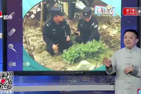 大意了！罂粟叶喂家禽可以防止家禽生病？阿婆私种罂粟被民警批评视频封面