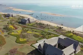 山东：花开四月 最美齐鲁视频封面