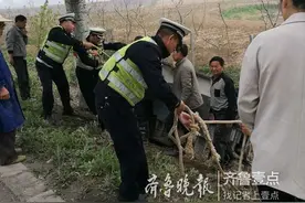 滕州一爷爷送完孙子，开着四轮电动不慎扎进沟里图片