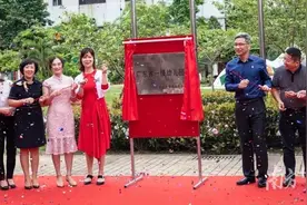 塘厦民办幼儿园挂牌省一级！省一级园数量居东莞镇街前列图片