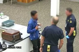 男子走私价值13万元红色活鱼，挂脖上过安检被捕将被罚100万图片