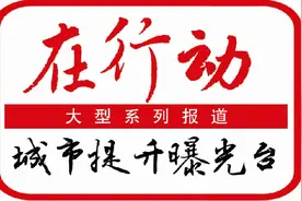 社区绿地变菜地散异味 街道清理建花园重飘香图片
