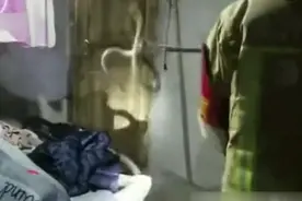 男子正在熟睡，突然感觉有东西钻进了被窝，打开一看“吓”了一跳视频封面