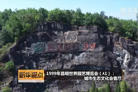 1999年昆明世界园艺博览会（A1级）：城市生态文化会客厅视频封面