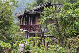 四川发现 | 峨眉山20公里外的普贤寺藏有两条神秘的“低头龙”