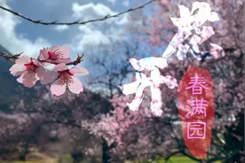 花开春满园视频封面