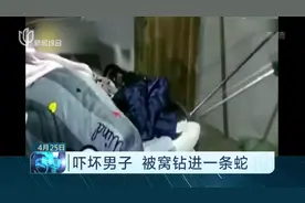 谁在和我睡觉?男子睡觉被窝钻进一条重1斤半的蛇，这也太吓人了！视频封面