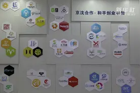 辽宁：严格知识产权保护 营造一流营商环境视频封面