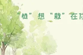 绿植领养｜‘医’路有你，‘植’了！图片