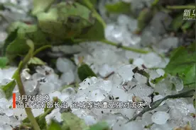 山西南部遭受强对流天气 最大冰雹直径两厘米