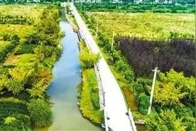 众议 | 生态环境部门和企业如何不做猫和老鼠？图片