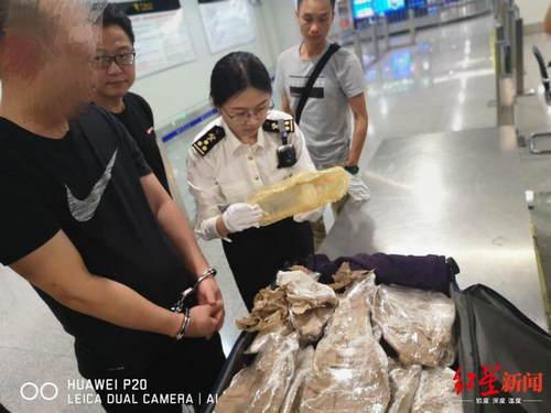 花胶防癌 花胶对癌症病人有好处吗