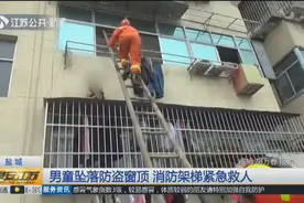 盐城5岁男童竟从3楼阳台翻出，坠落防盗窗顶，消防架梯紧急救人视频封面