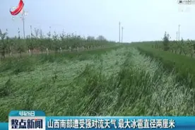 山西南部遭受强对流天气最大冰雹直径两厘米视频封面