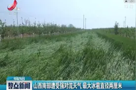 山西南部遭受强对流天气最大冰雹直径两厘米视频封面