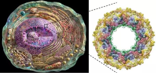 “解冻”渐冻人：希望与挑战