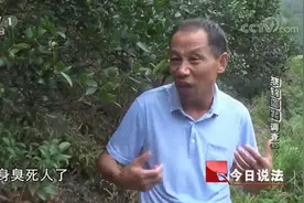 孩子吃糖中毒而死，李锦莲被怀疑是下毒者，被抓后趁机从警局逃走视频封面