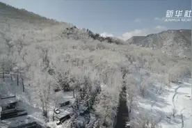 五台四月迎飞雪视频封面
