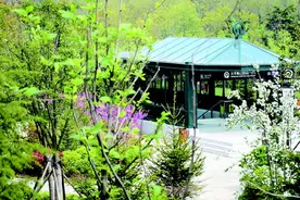 中国十大最美地铁站揭晓 青岛李村站、太平角公园站脱颖而出图片