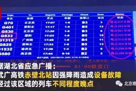 高铁遇故障导致停车，列车长有能力解决问题吗？图片
