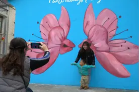 《新华视点》解码花海背后的沪郊乡村振兴密码视频封面