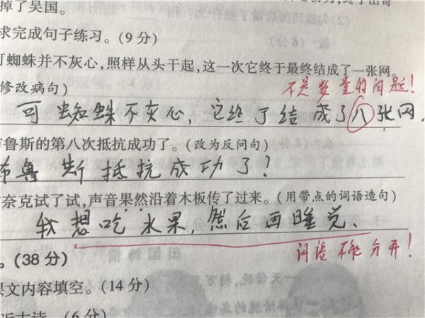 小学生“蚂蚁”字迹走红，看到老师的批语后，网友：老师教得好