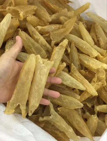 花胶有下奶作用吗 2025年花胶有下奶作用吗百度百科