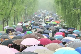 “西湖一日游”到底怎么样？记者报团体验出炉图片