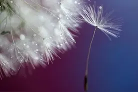 积极向上的人生格言，你最喜欢哪句？图片