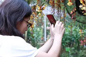 植物园的美妙世界视频封面