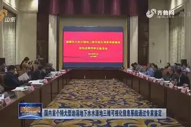 国内首个特大型岩溶地下水水源地三维可视化信息系统通过专家鉴定视频封面