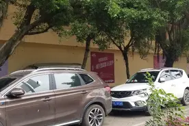 在柳州动物园附近交了停车费，却被贴违停单！附近居民：并非首次发生图片