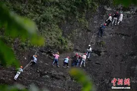 攀岩火了！游客体验“飞檐走壁”图片