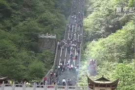 张家界：“天梯”清洁工 一天上下8000步台阶视频封面