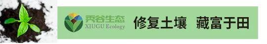 这类肥料或迎大发展，产品国家标准、行业标准都在这里了