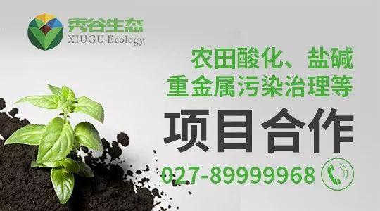 这类肥料或迎大发展，产品国家标准、行业标准都在这里了