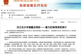 海南省暂停富力红树湾商品房销售，是全省重点建设项目之一图片