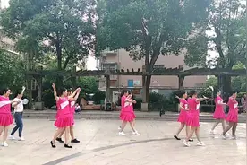 芬兰广场舞健身操《美丽的七仙女》视频封面