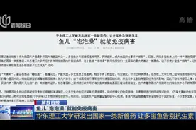 与抗生素滥用说再见,多宝鱼有了“绿色疫苗”,“泡泡澡”免疫病害视频封面