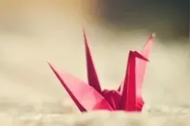 没有一种工作是不委屈的图片