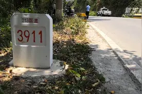 云南西双版纳：一女游客偶遇野象遭攻击受伤视频封面